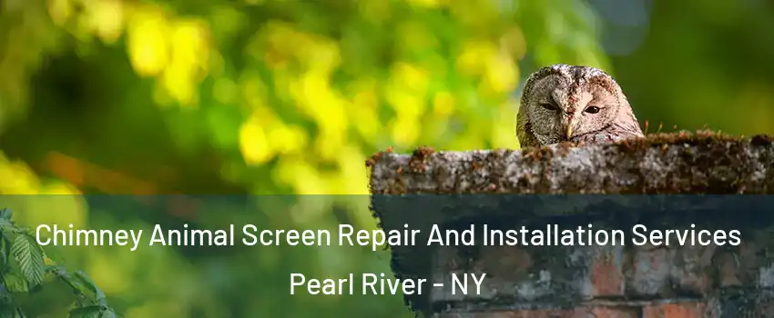  Chimney Animal Screen Repair And Installation Services Pearl River - NY