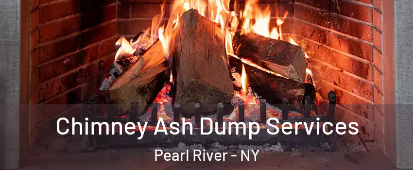 Chimney Ash Dump Services Pearl River - NY