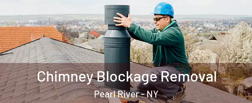  Chimney Blockage Removal Pearl River - NY
