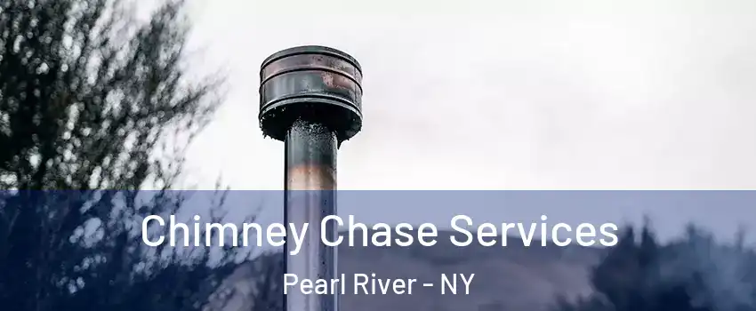  Chimney Chase Services Pearl River - NY
