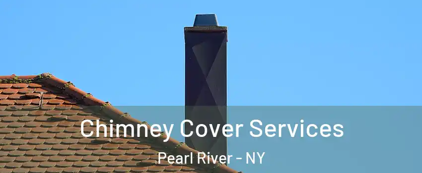  Chimney Cover Services Pearl River - NY