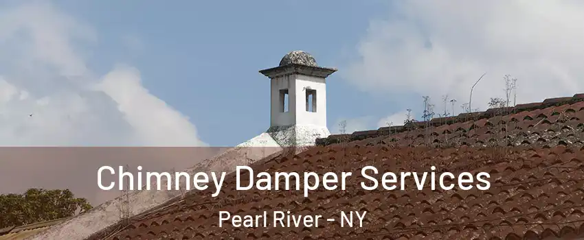  Chimney Damper Services Pearl River - NY
