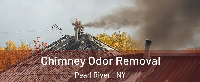 Chimney Odor Removal Pearl River - NY