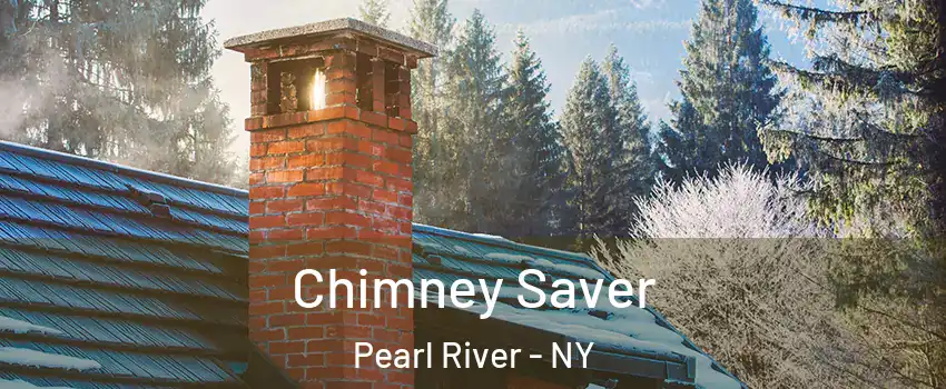  Chimney Saver Pearl River - NY