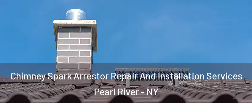  Chimney Spark Arrestor Repair And Installation Services Pearl River - NY