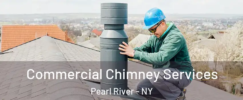  Commercial Chimney Services Pearl River - NY