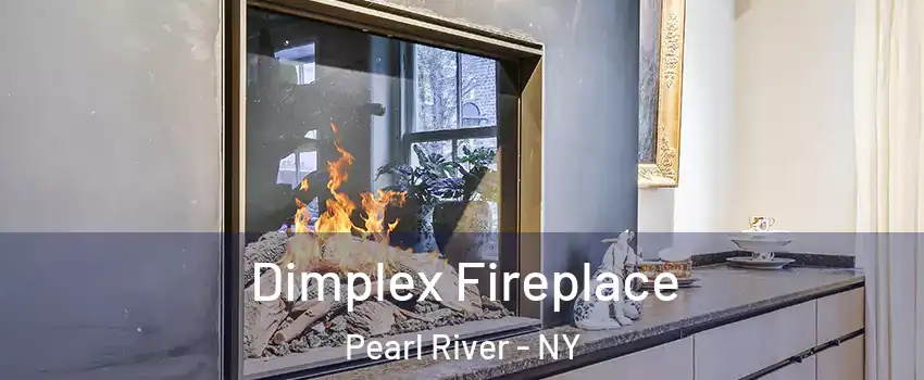  Dimplex Fireplace Pearl River - NY