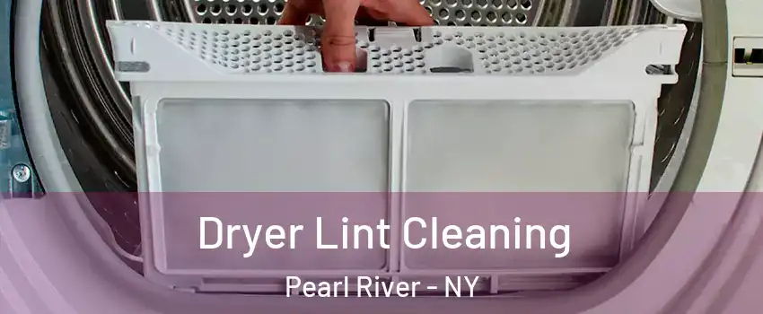  Dryer Lint Cleaning Pearl River - NY