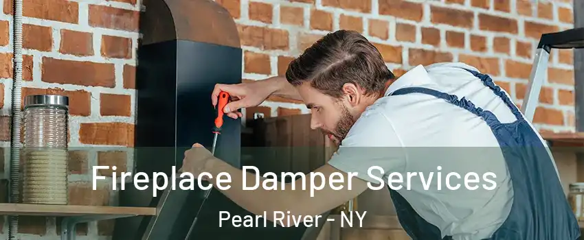  Fireplace Damper Services Pearl River - NY