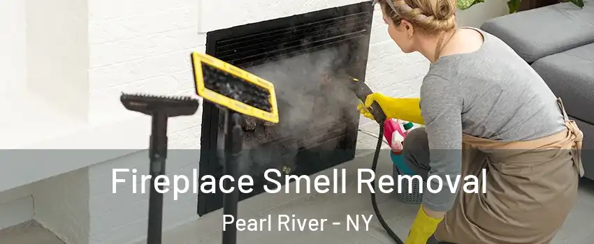  Fireplace Smell Removal Pearl River - NY