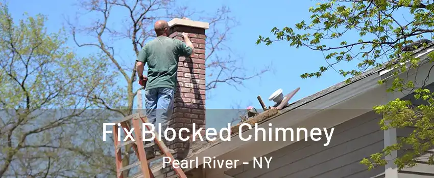  Fix Blocked Chimney Pearl River - NY