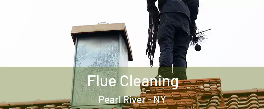  Flue Cleaning Pearl River - NY
