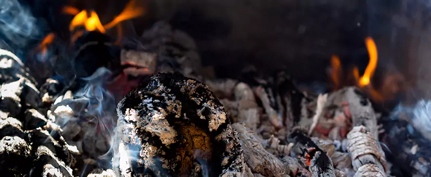 Creosote Removal Experts in Pearl River, NY