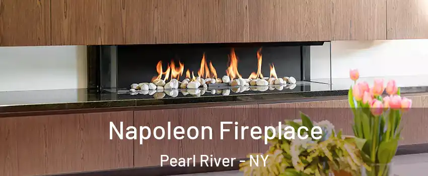  Napoleon Fireplace Pearl River - NY