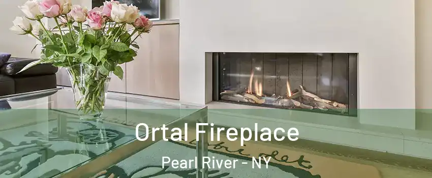  Ortal Fireplace Pearl River - NY